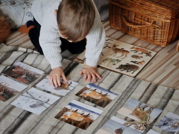 Zimowe aktywności dla dzieci